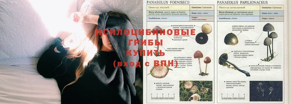 каннабис Покров
